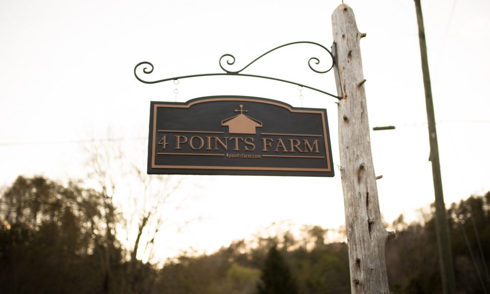 View More: http://cherishbickel.pass.us/4pfstyled